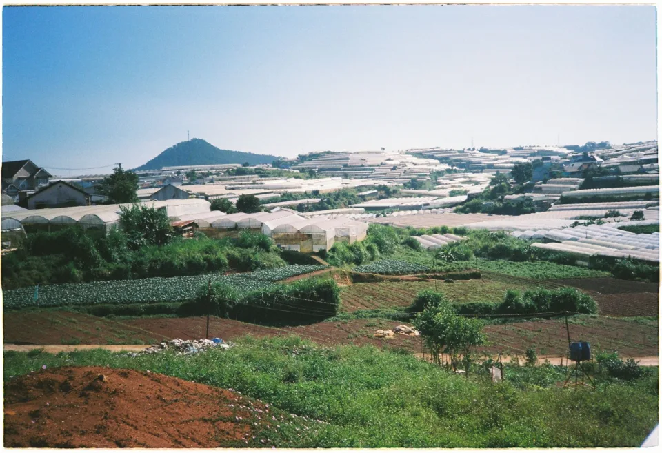 Đậu phộng rang đóng hũ